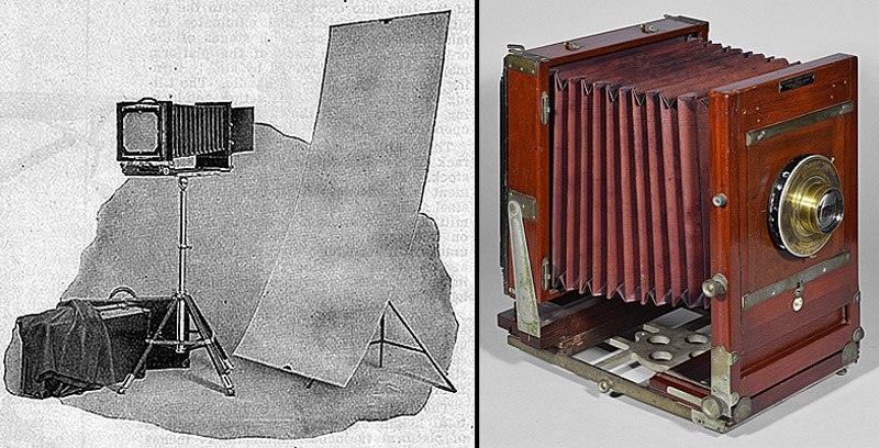 1458.f&shomeportraitno2 & cat.ekc.prof.1917-p24-800.jpg