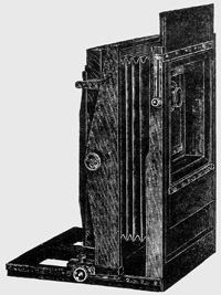 tnFSSkySpCat.jpg (4059 bytes)